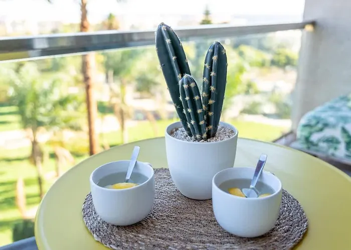 Vivendos - Tr18 - Pinillo Τορρεμολίνος